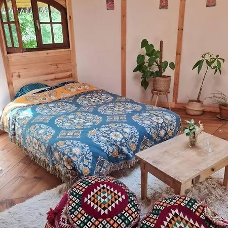 Cabayourte A La Mauvaise Herbe Chalet