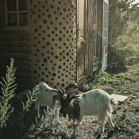 Cabayourte A La Mauvaise Herbe * Barjols